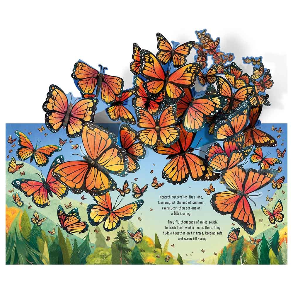 كتب أسبورن-  كتاب Pop-Up Butterflies