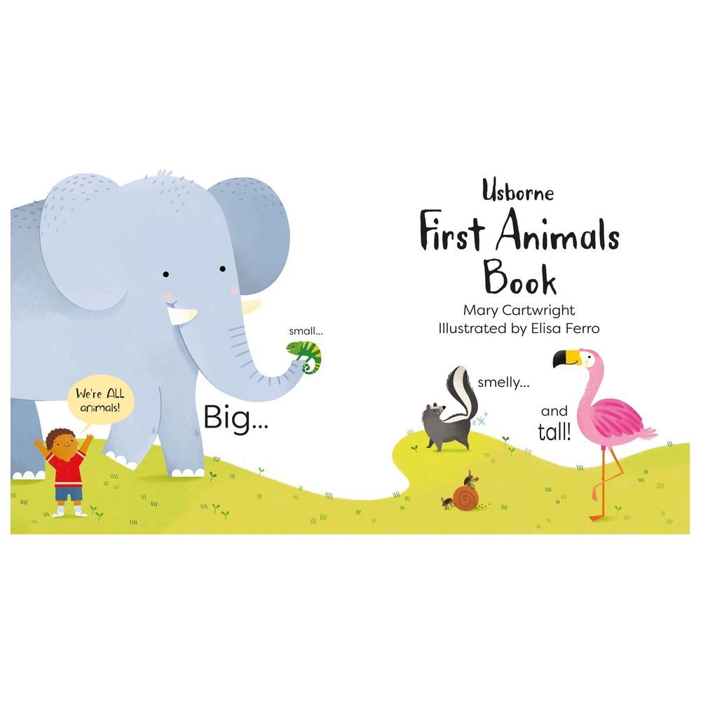 كتاب First Animals Book