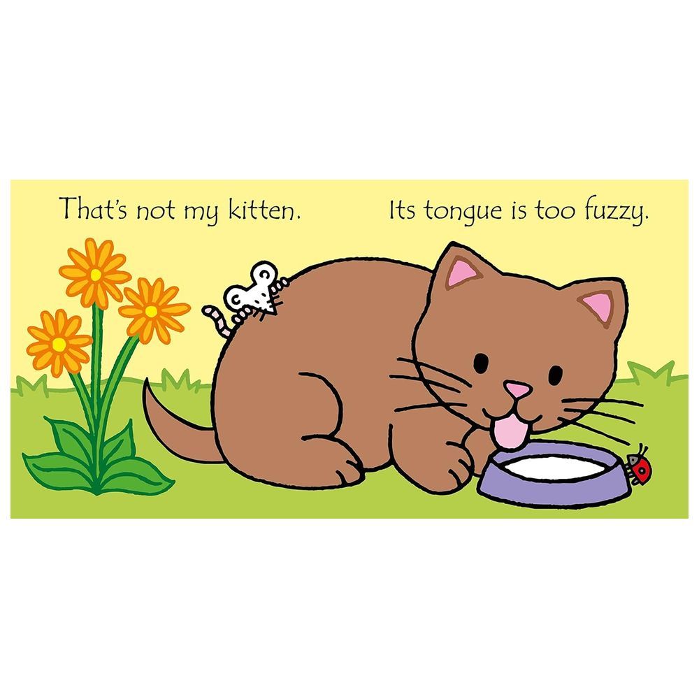 Usborne Books - That's Not My Kitten