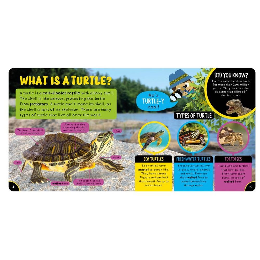 Make Believe Ideas - Amazing Turtles Board Book