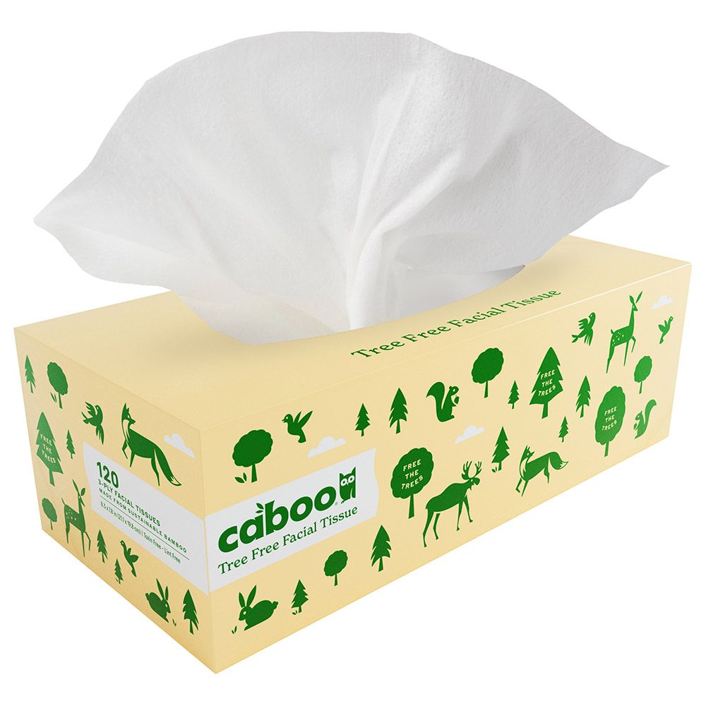 Caboo - Flat Boxed Facial Tissue - 120pcs