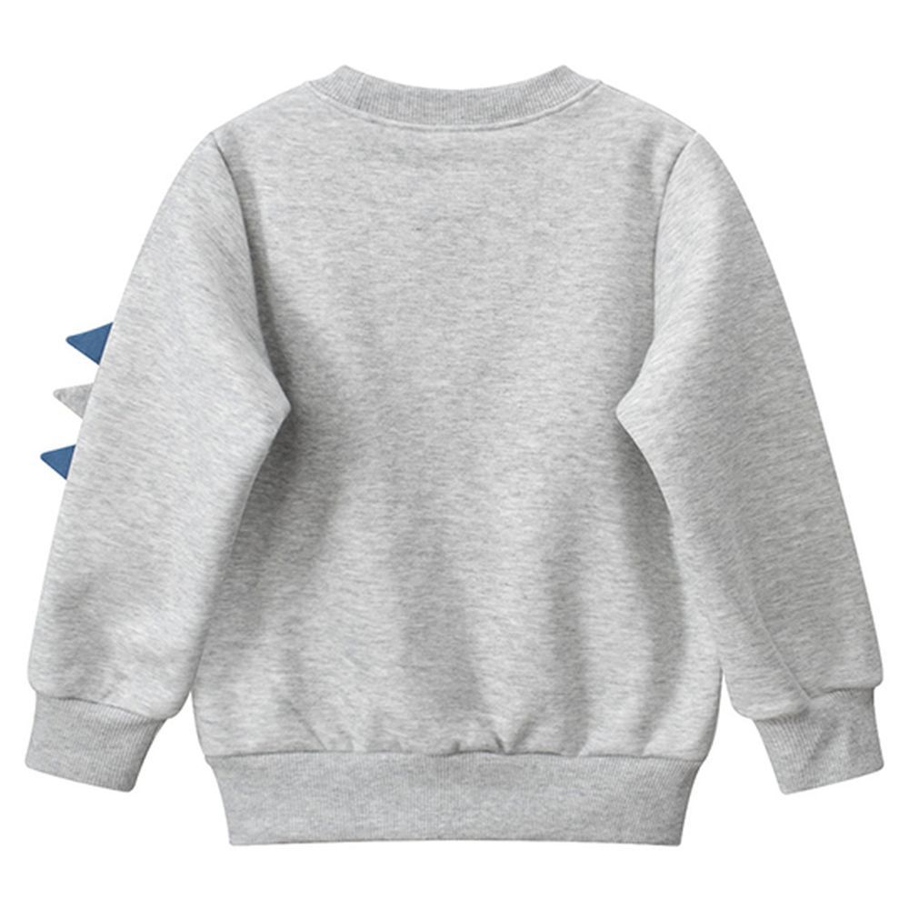 Sugar Rush - Regular Round Neck Full Sleeves Sweatshirt - Grey