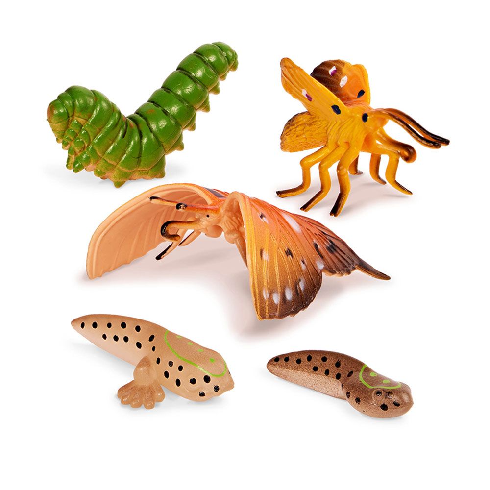 Terra - Metamorphosis Animals Playset - 10pcs