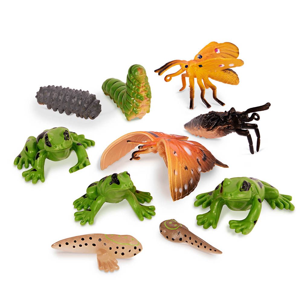 Terra - Metamorphosis Animals Playset - 10pcs