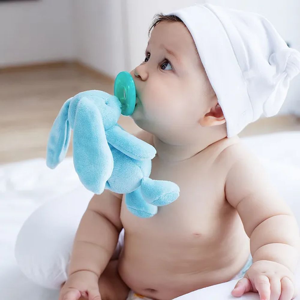 Minikoioi -Blue Bunny Plush Toy With Soother + FREE ONE Silicone Teether