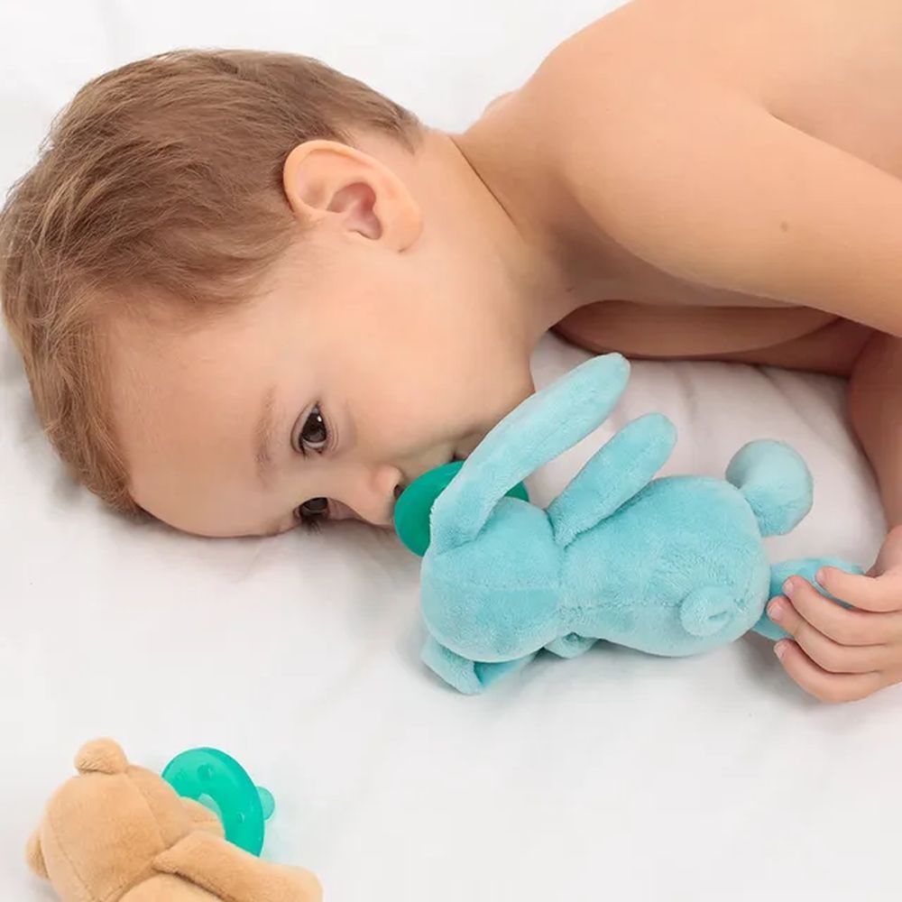 Minikoioi -Blue Bunny Plush Toy With Soother + FREE ONE Silicone Teether