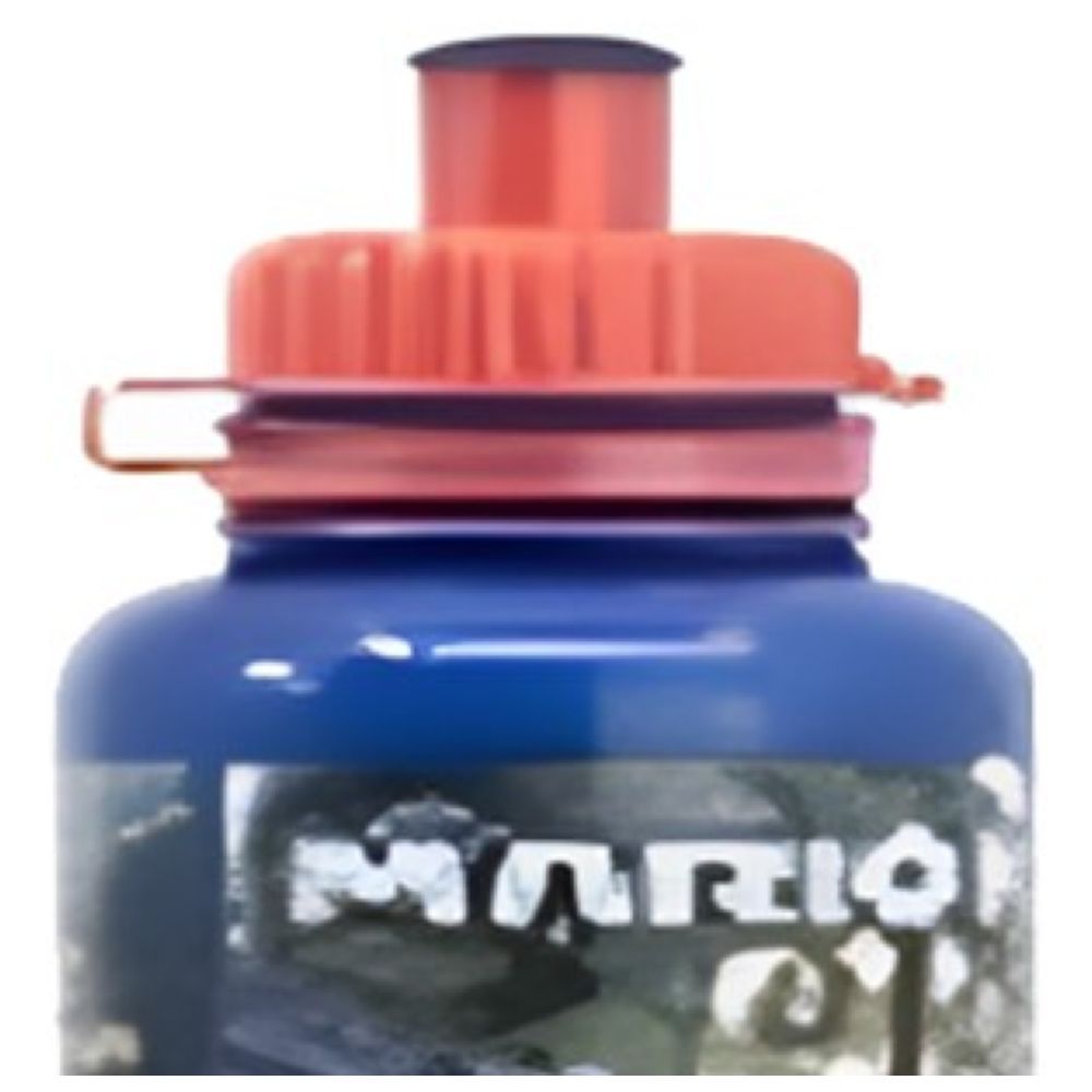 Disney - Nintendo Ergo Sport Bottle - Super Mario Kart - 430 ml