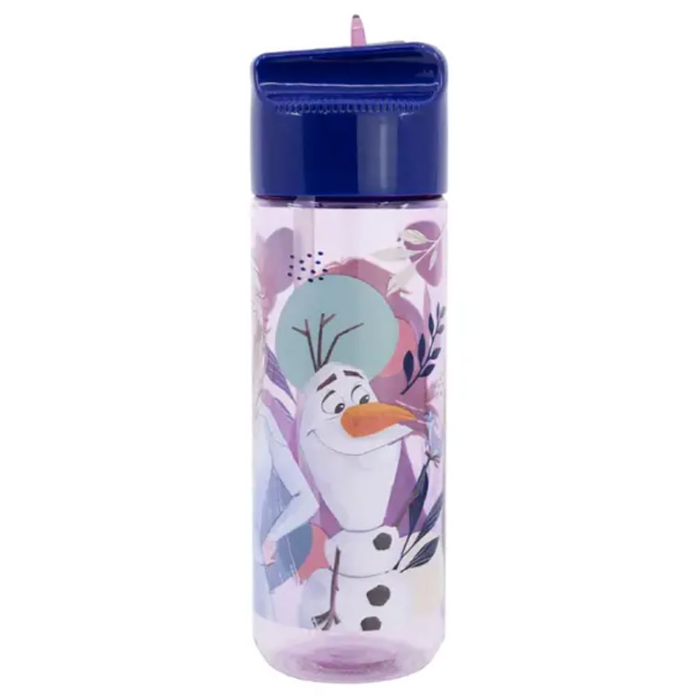 Disney - Large Ecozen Hydro Bottle - Frozen Trust The Journey - 540 ml