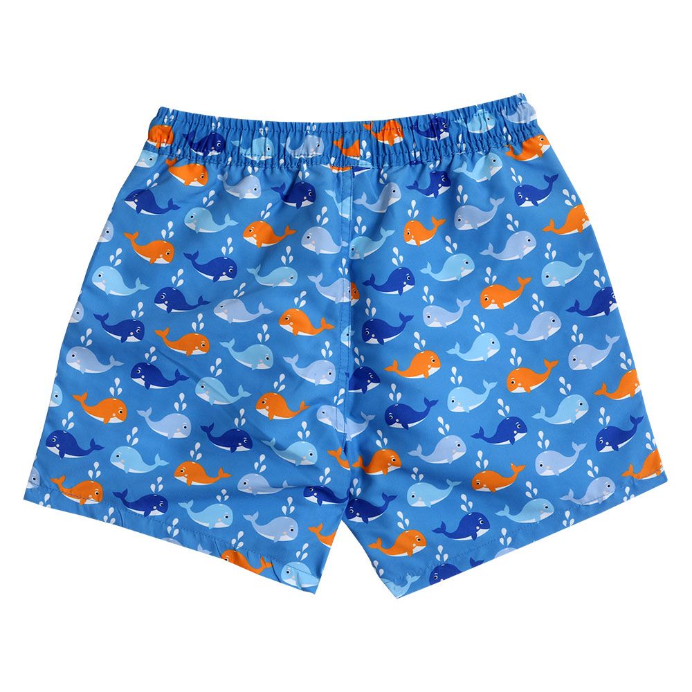 Cool2C - Boys Whale Board Shorts - Blue