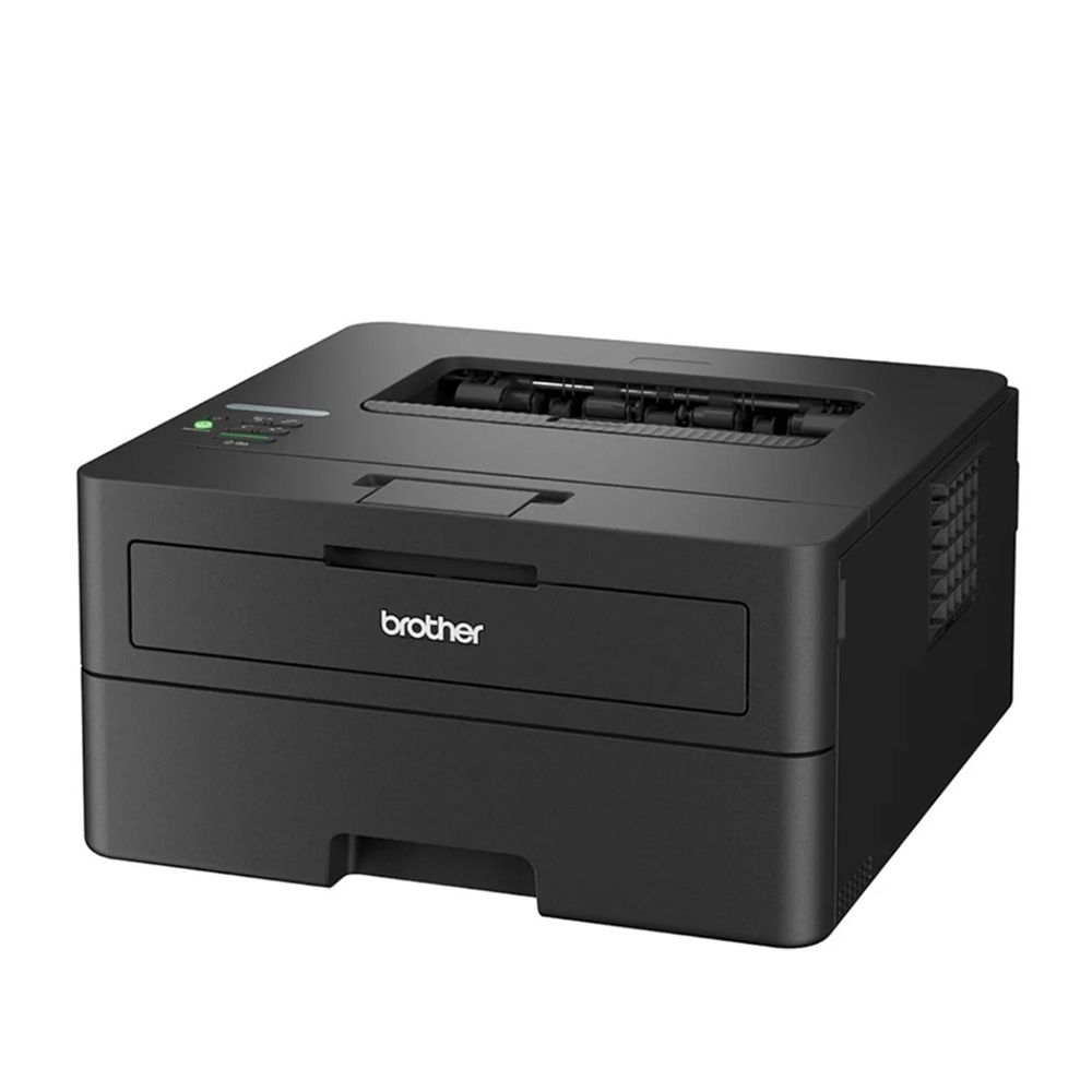 Brother - Compact Monochrome Laser Printer HL-L2460DN - Black