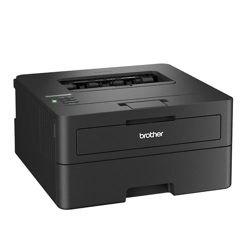 Brother - Compact Monochrome Laser Printer HL-L2460DN - Black