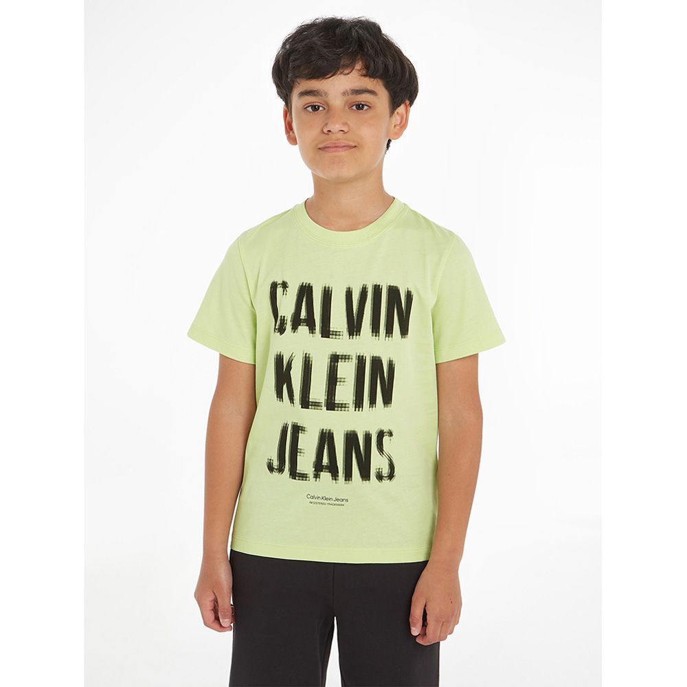 Calvin Klein - Pixel Logo Relaxed Short Sleeve T-Shirt - Green