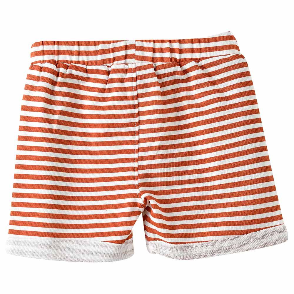 Jam - Sun-Kissed Adventures Boy's Breathable Cotton Knit Shorts