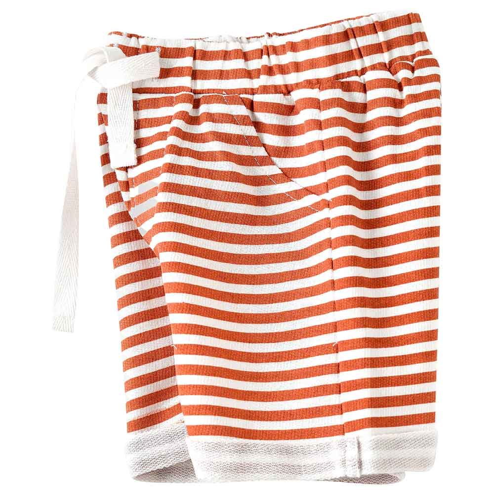 Jam - Sun-Kissed Adventures Boy's Breathable Cotton Knit Shorts