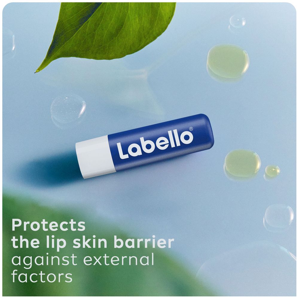 Labello - Moisturizing Lip Balm With Shea Butter - 4.8 gm