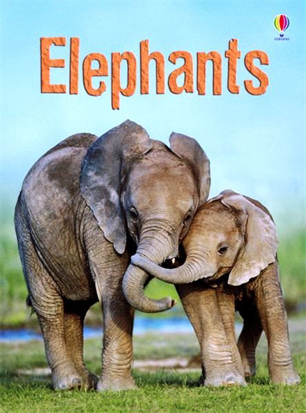 Usborne Books - Beginners: Elephants