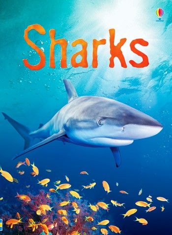 Usborne Books - Beginners: Sharks