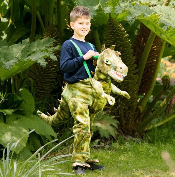 Child Ride In Dinosaur Costume