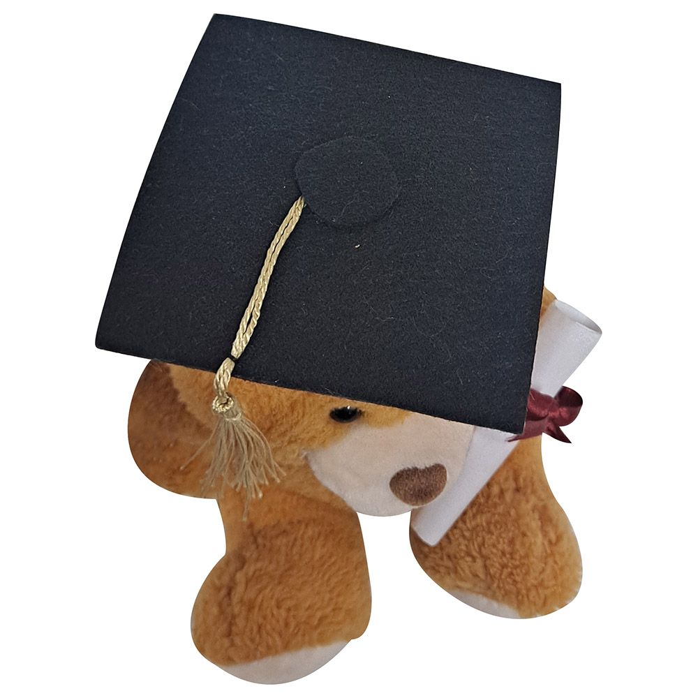 Fay Lawson - Teddy Bear With Hat And Diploma - Golden Brown - 15 cm