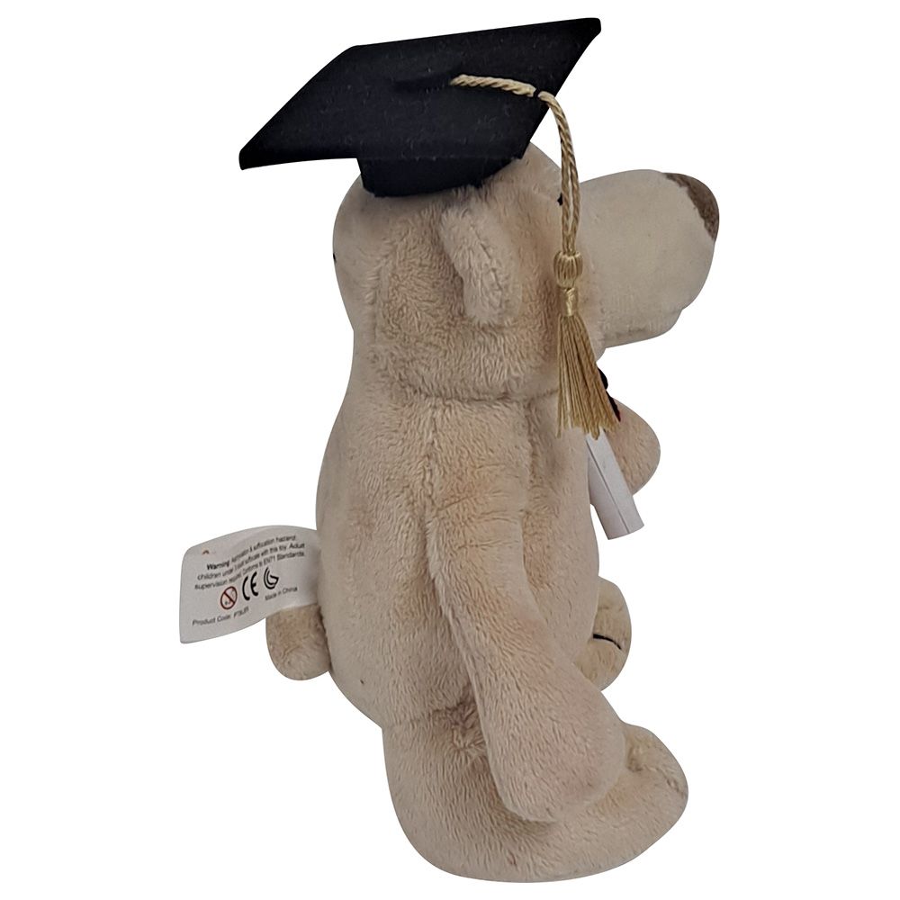 Fay Lawson - Mascot Bear With Graduation Hat And Diploma - Brown - 18 cm