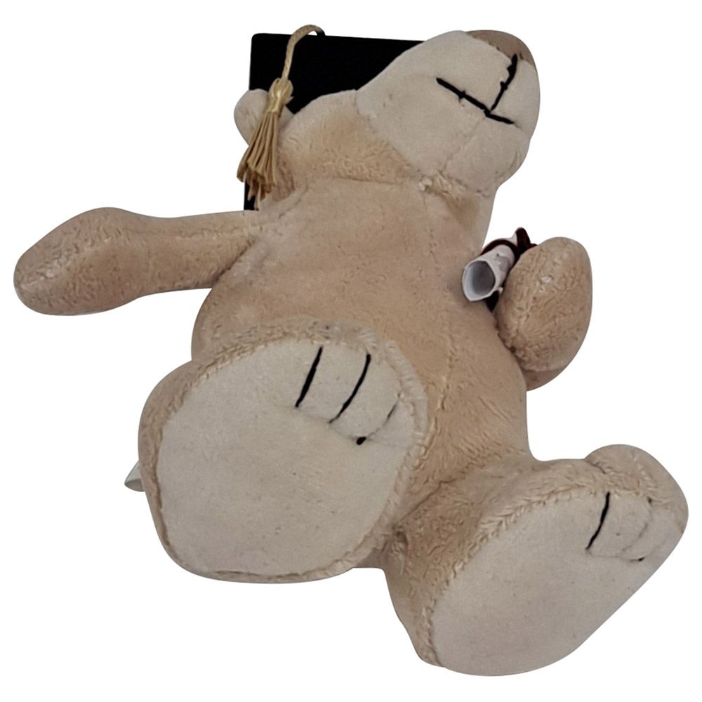 Fay Lawson - Mascot Bear With Graduation Hat And Diploma - Brown - 18 cm