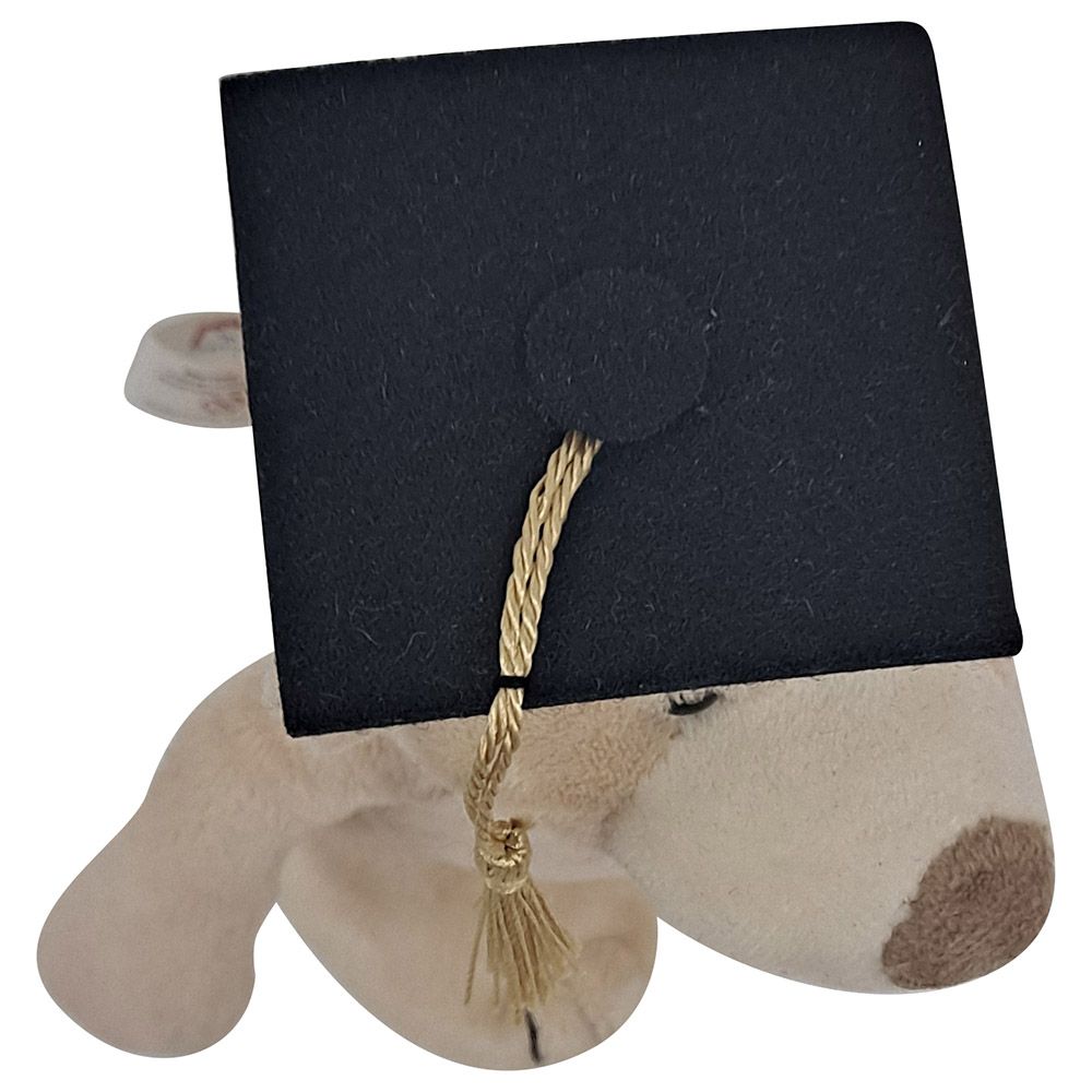 Fay Lawson - Mascot Bear With Graduation Hat And Diploma - Brown - 18 cm