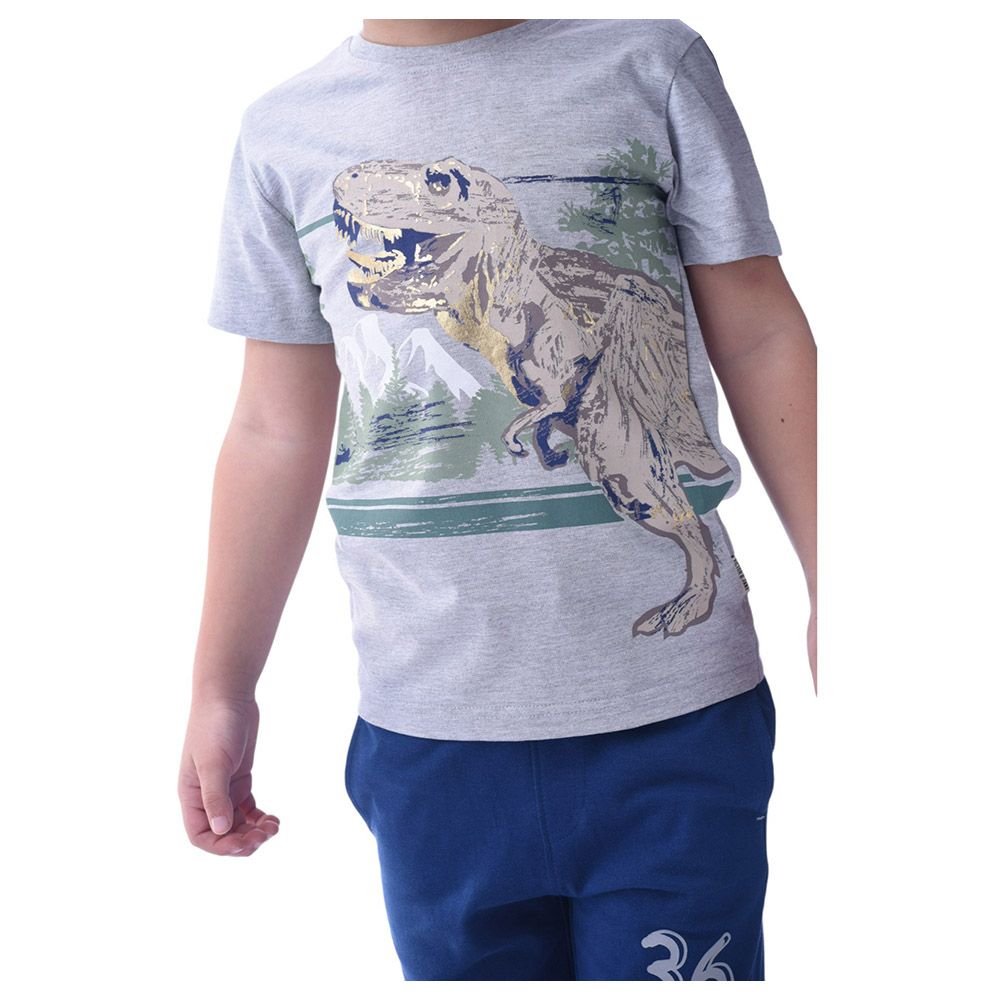 Victor and Jane - 2pc-Set - Boy's Cotton T-Shirt and Shorts - Grey/Navy