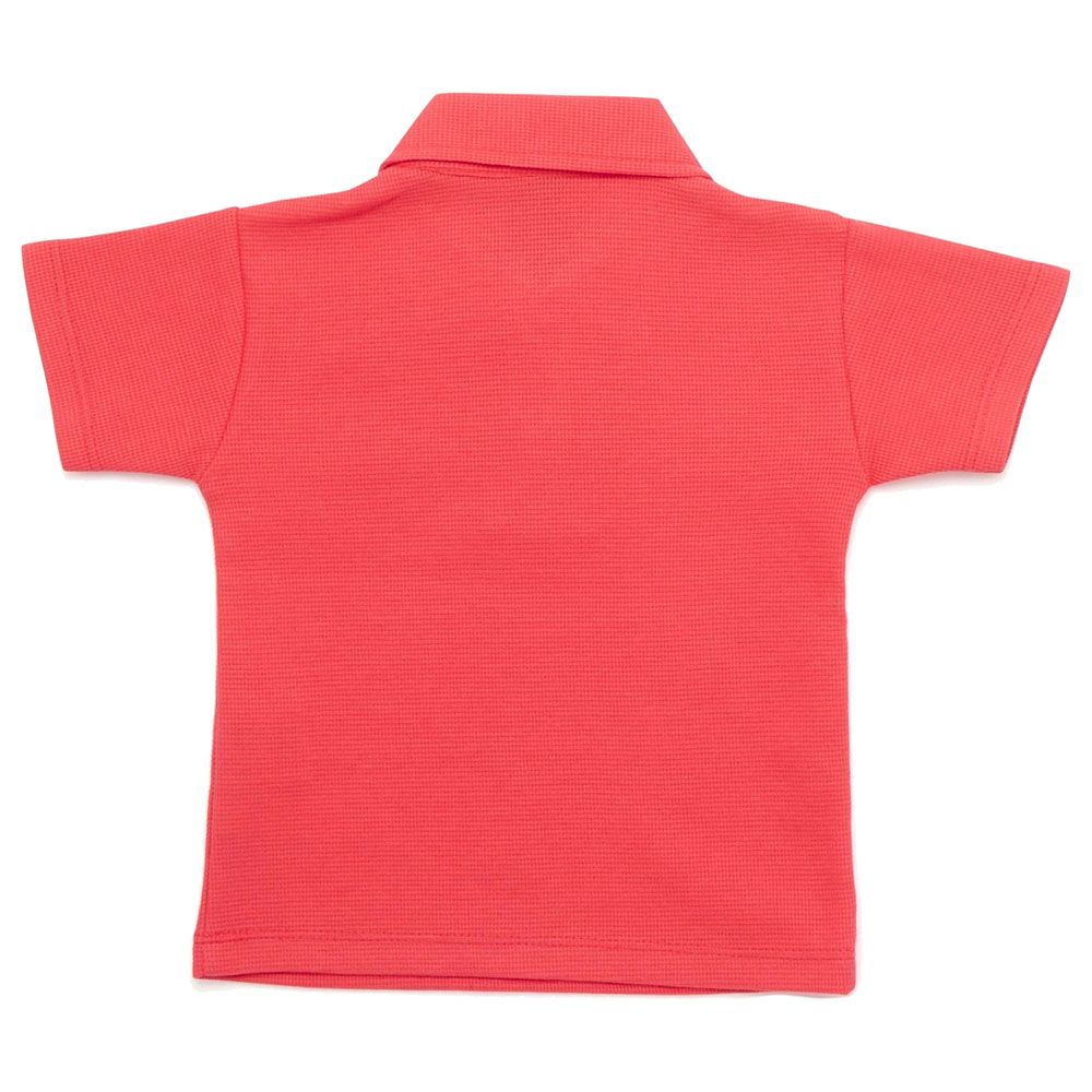 Little Kangaroos - Baby Boy Half Sleeve Cool Dino Polo T-Shirt - Red