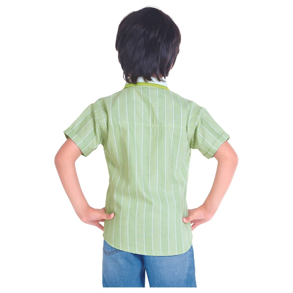 Little Kangaroos - Boy Collar Neck Striped Shirt - Pista