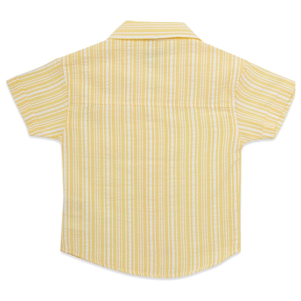 Little Kangaroos - Boy Collar Neck Striped Shirt - Yellow/White