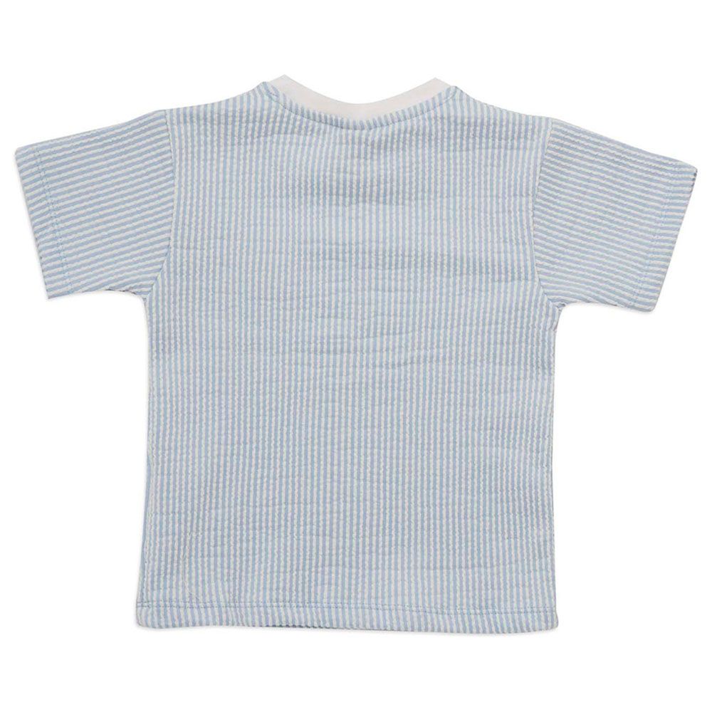 Little Kangaroos - Boy Round Neck T-Shirt - Sky Blue