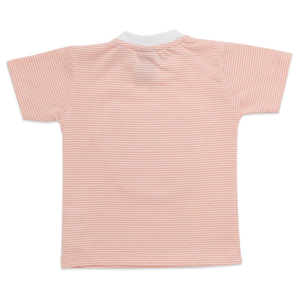 Little Kangaroos - Baby Boy Round Neck T-Shirt - Peach