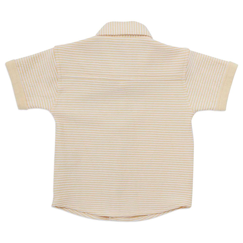 Little Kangaroos - Baby Boy Half Sleeve Striped Shirt - Yellow/White