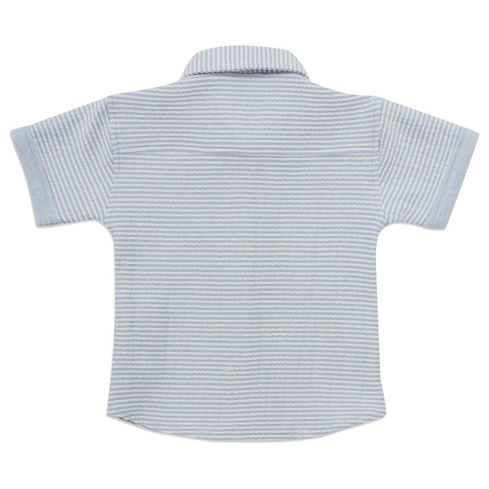 Little Kangaroos - Baby Boy Half Sleeve Striped Shirt - Sky Blue/White