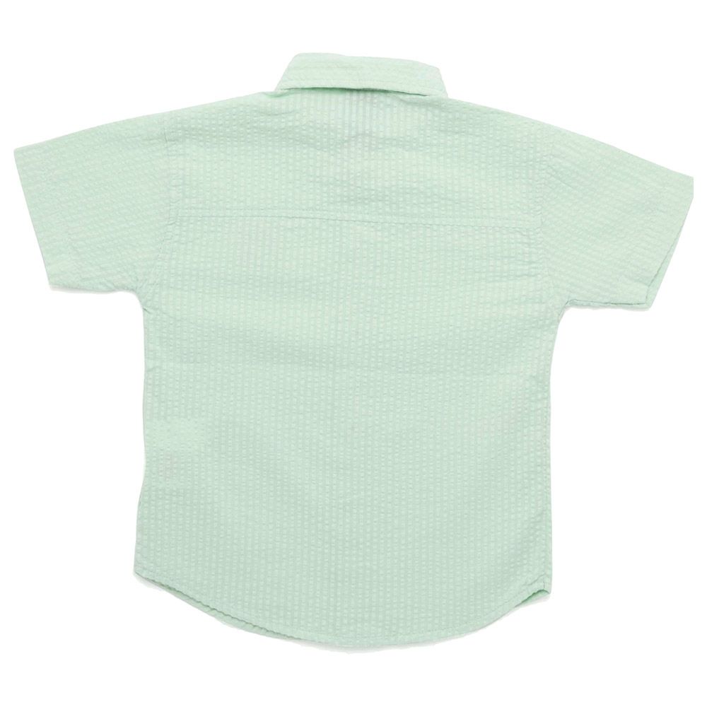 Little Kangaroos - Boy Collar Neck Half Sleeve Shirt - Green