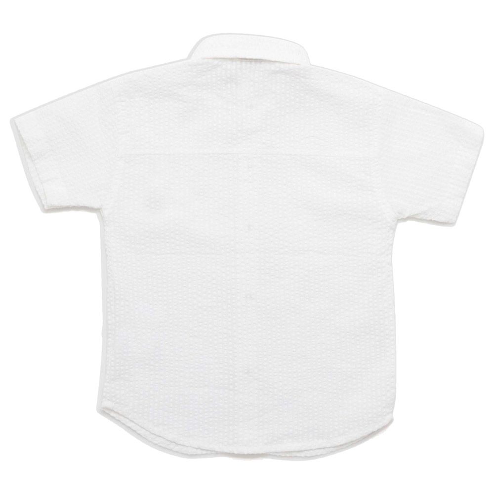 Little Kangaroos - Boy Collar Neck Half Sleeve Shirt - White