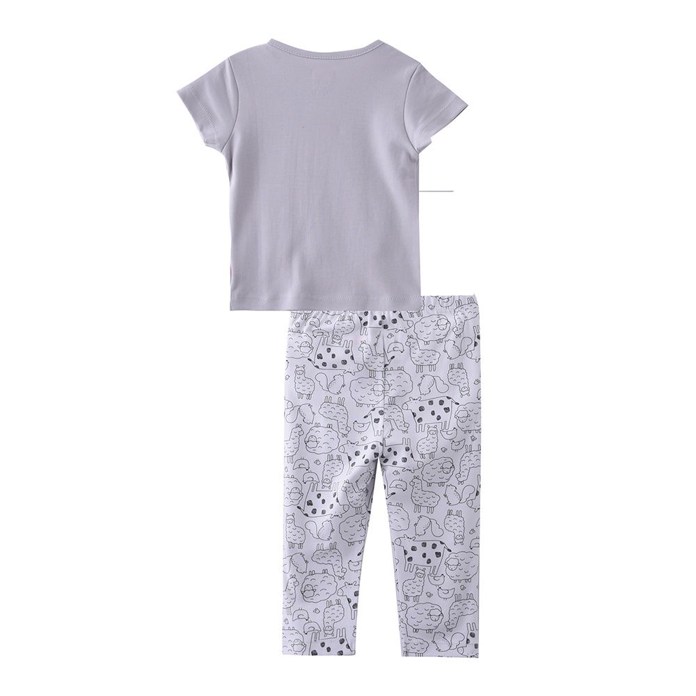 Smart Baby - 2pc-Set - Baby Boy Short Sleeve T-Shirt And Pyjama - Grey