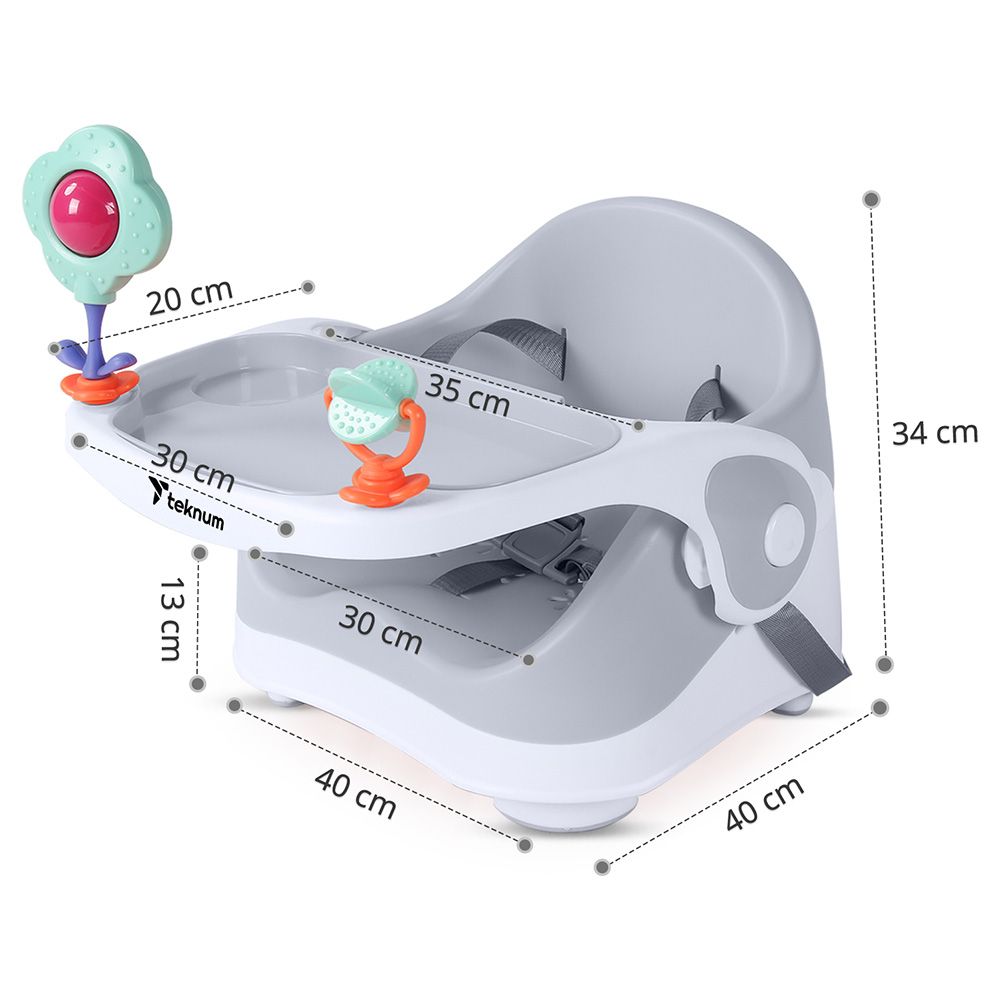 Teknum - Portable Booster Chair - Grey
