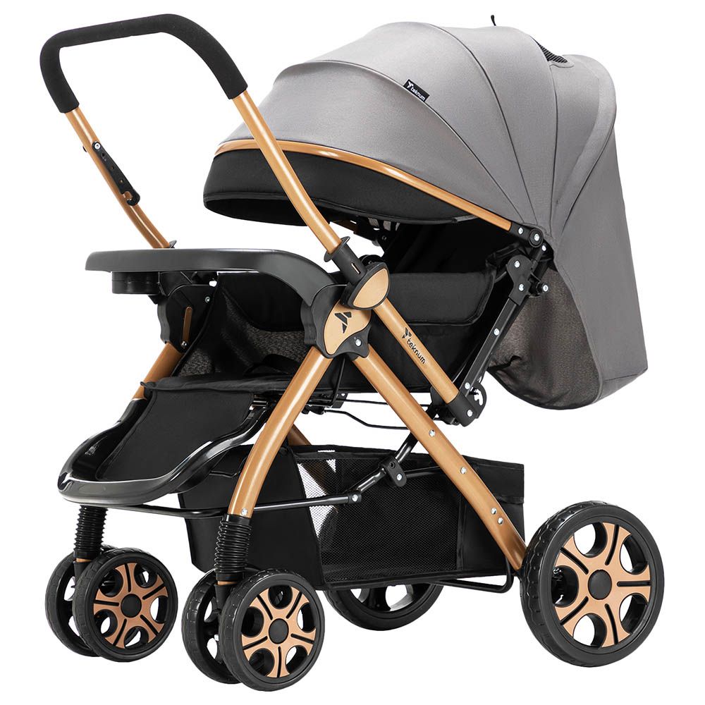 Teknum - Reversible Trip2 Stroller - Grey