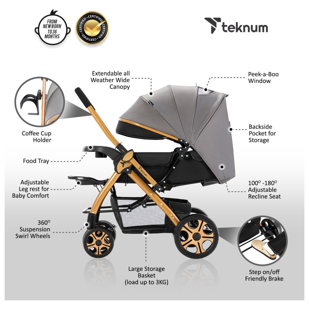 Teknum - Reversible Trip2 Stroller - Grey