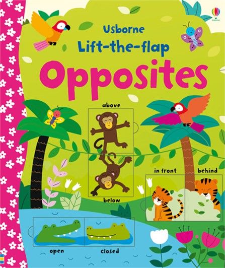 كتب أسبورن-  كتاب "Lift the flap opposites"  