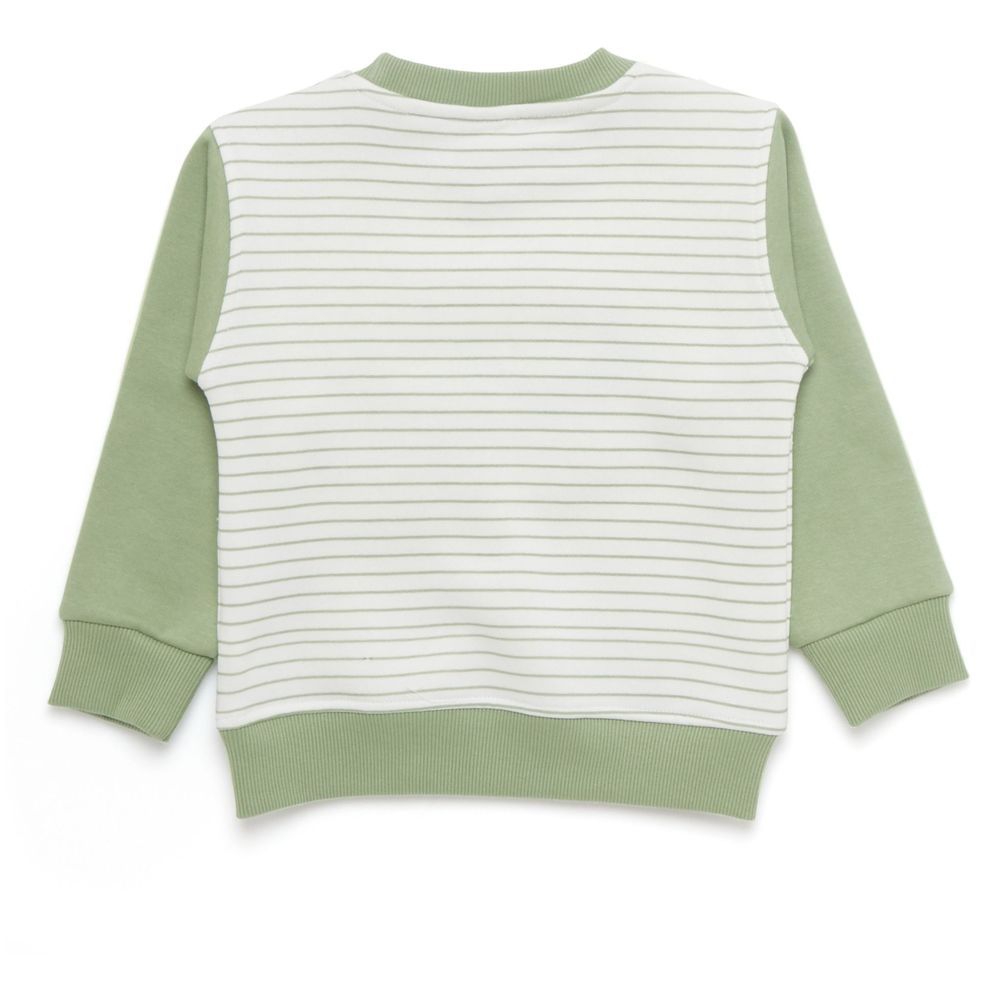 Little Kangaroos - Baby Boy Striped Sweatshirt - Pista