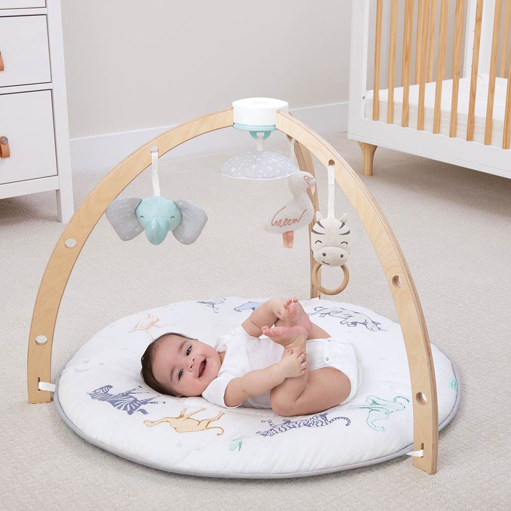 Aden + Anais - Play & Discover Activity Gym