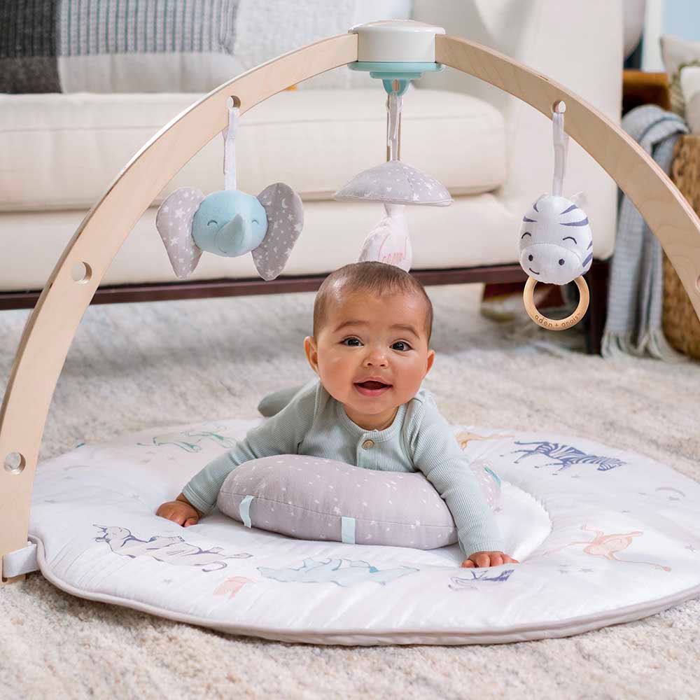 Aden + Anais - Play & Discover Activity Gym