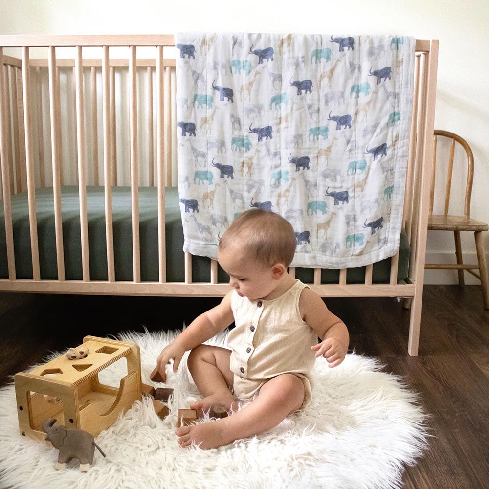 Aden + Anais - Silky Soft Dream Blanket - Expedition