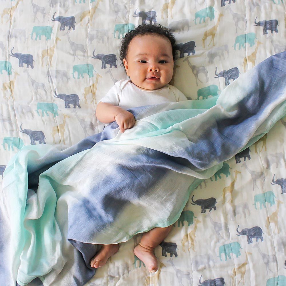 Aden + Anais - Silky Soft Dream Blanket - Expedition