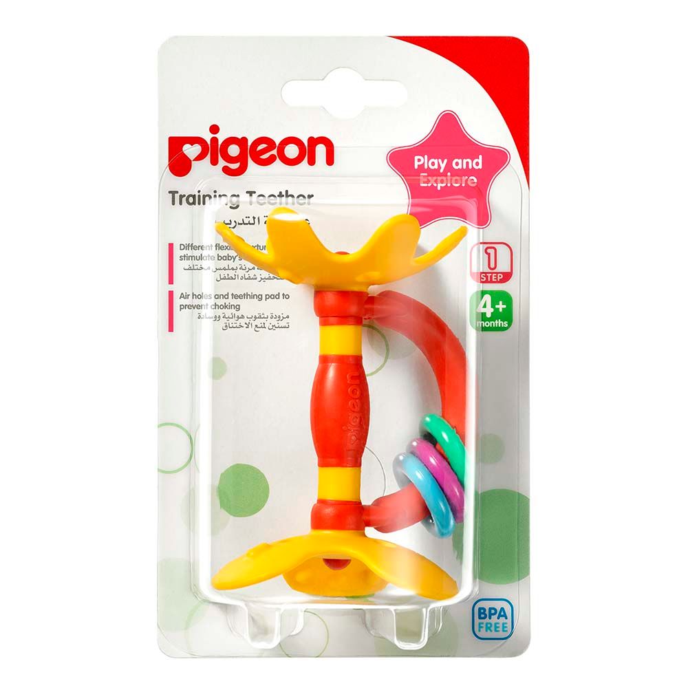 Pigeon - Training Teether Step 1