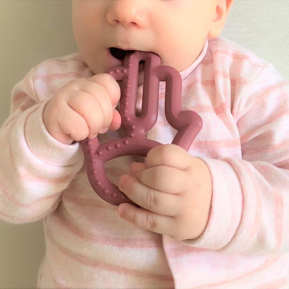 Minikoioi - Silicone Toothee Teether - Rose