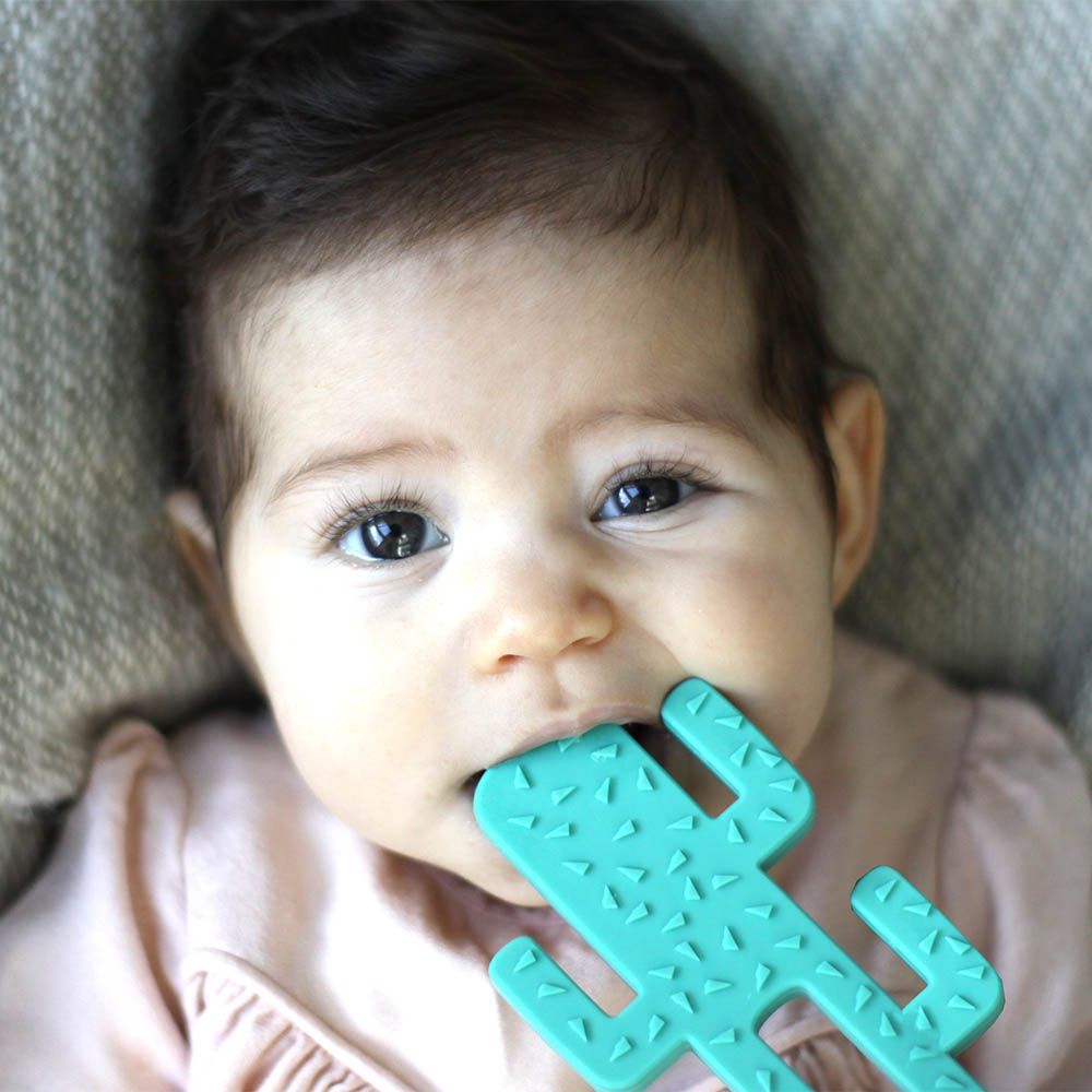 Minikoioi - Silicone Cactus Teether - Green