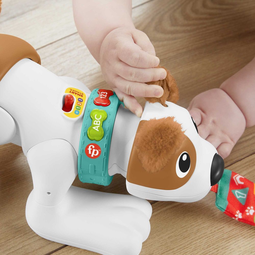 Fisher Price - 123 Crawl With Me Puppy